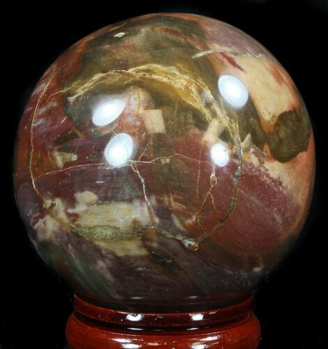 Colorful Petrified Wood Sphere #36960